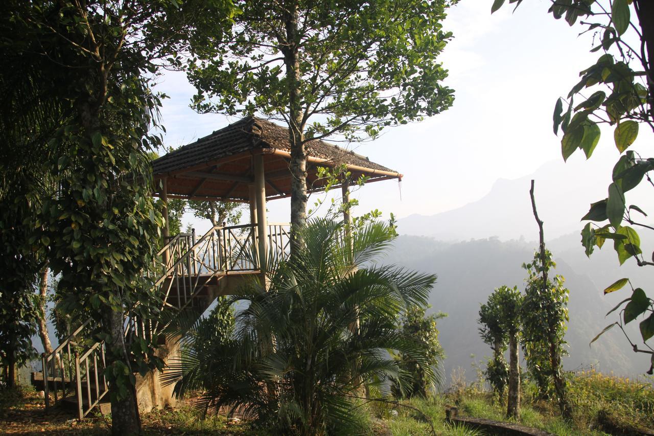 Rippon Eco Woods Kalpetta Exterior photo