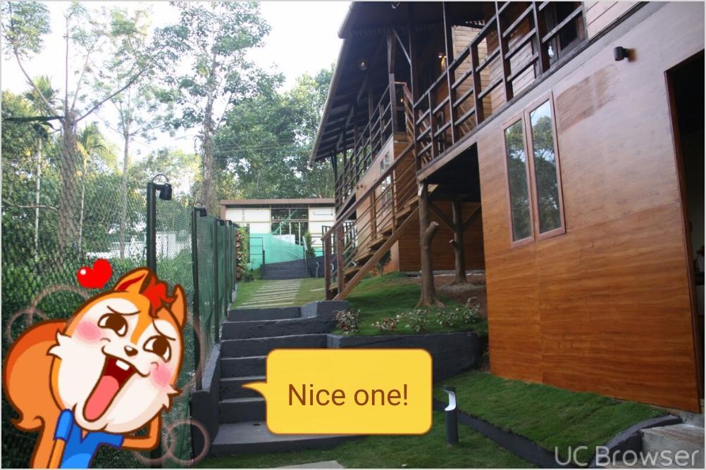 Rippon Eco Woods Kalpetta Exterior photo