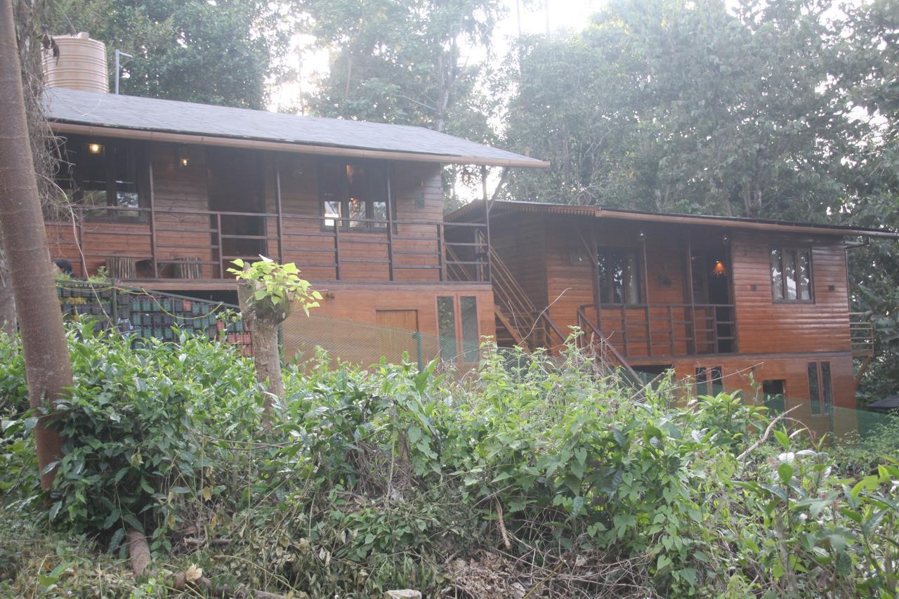 Rippon Eco Woods Kalpetta Exterior photo