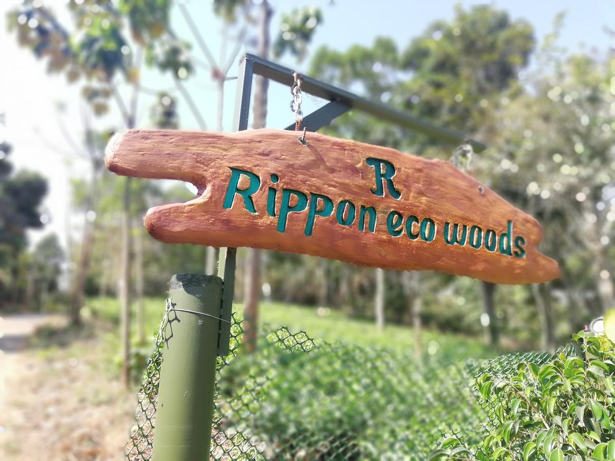 Rippon Eco Woods Kalpetta Exterior photo